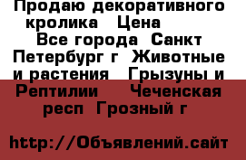 Продаю декоративного кролика › Цена ­ 500 - Все города, Санкт-Петербург г. Животные и растения » Грызуны и Рептилии   . Чеченская респ.,Грозный г.